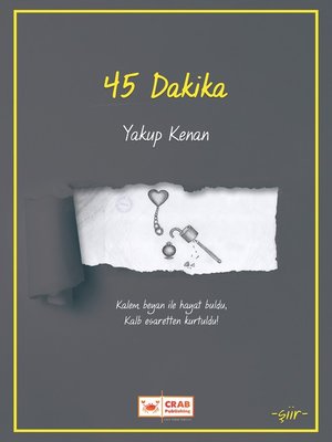 cover image of 45 Dakika